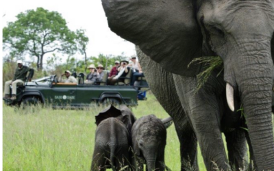 5 Reasons I love Africa