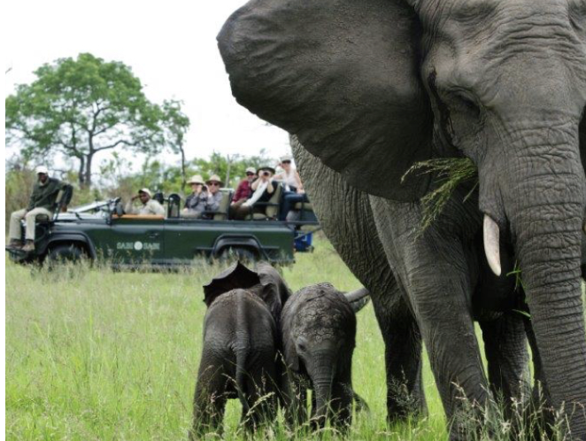 5 Reasons I love Africa